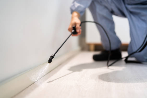 Professional exterminator conducting IPM assessment in Queen Anne